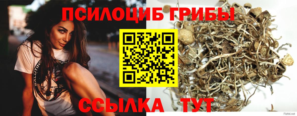 Псилоцибиновые грибы MAGIC MUSHROOMS Шелехов