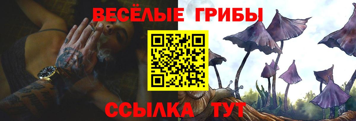 Псилоцибиновые грибы Psilocybe  Вход с VPN  Шелехов 