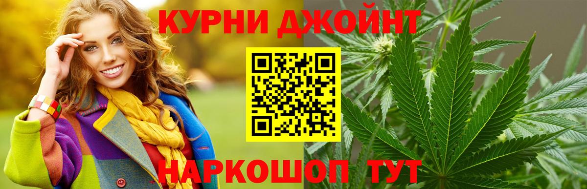 Канабис сатива Шелехов